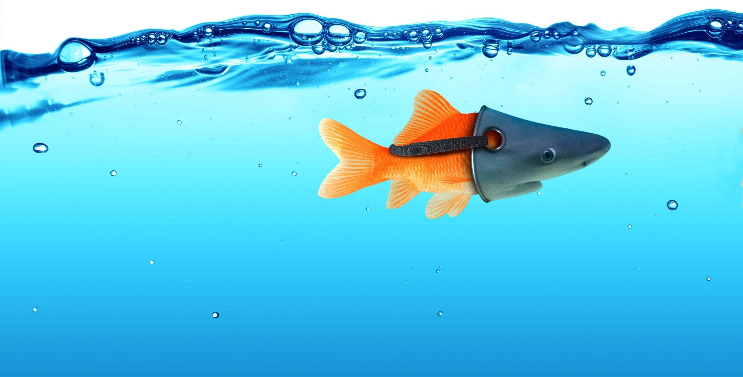 Overstating Performance – Look Out for the Spec Sheet Star!